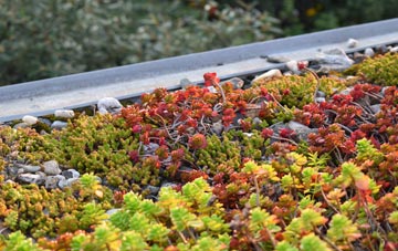 the cost of Cotwalton green roof installation